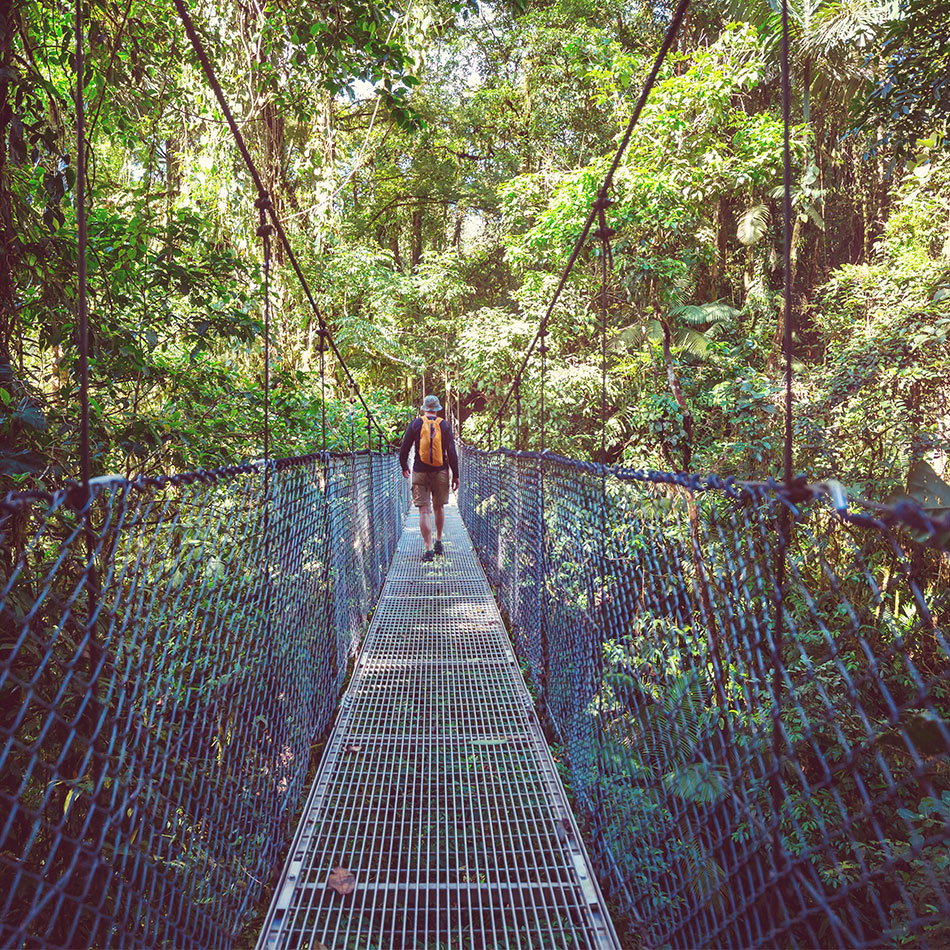 Suspension bridge in Costa Rica