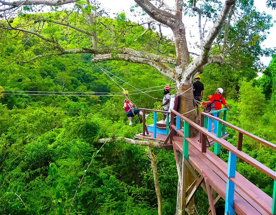 People ziplining in the jungles of Antigua
