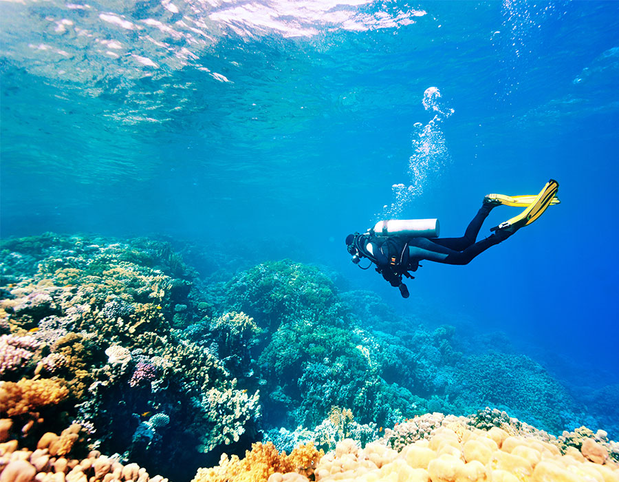 Scuba diving in Cancun Mexico