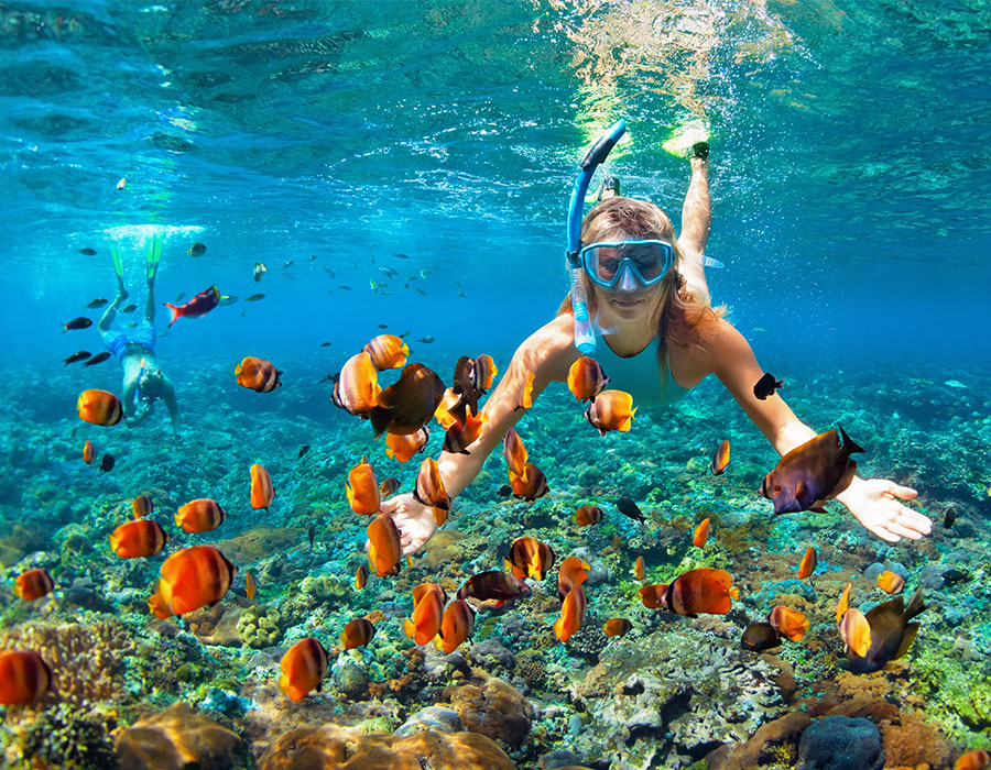 Snorkeling in Costa Rica