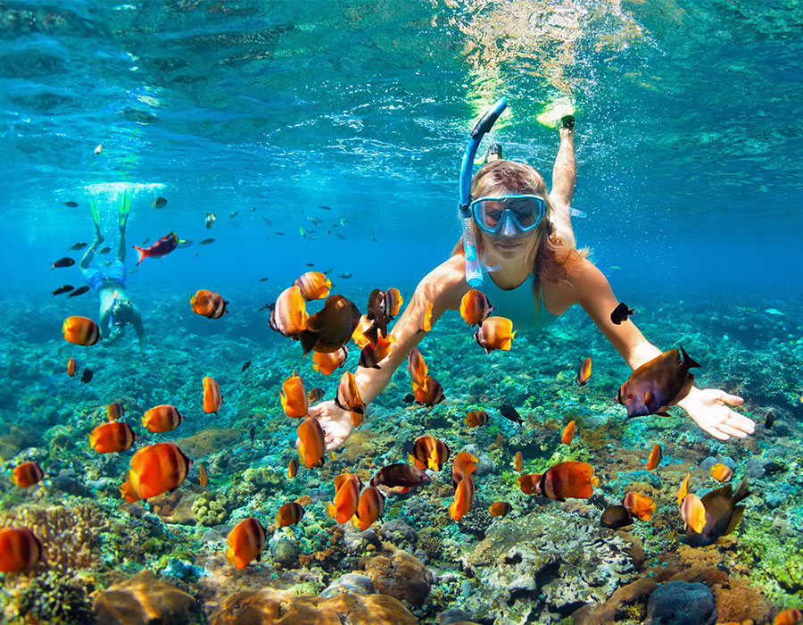 Snorkeling in Jamaica