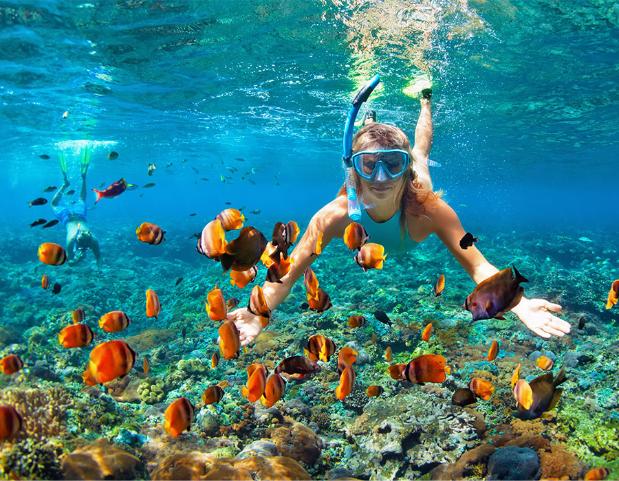 Snorkeling in the Riviera Maya