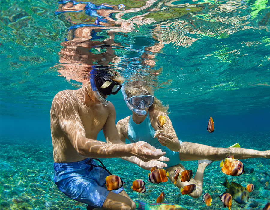 Snorkeling in St. Lucia