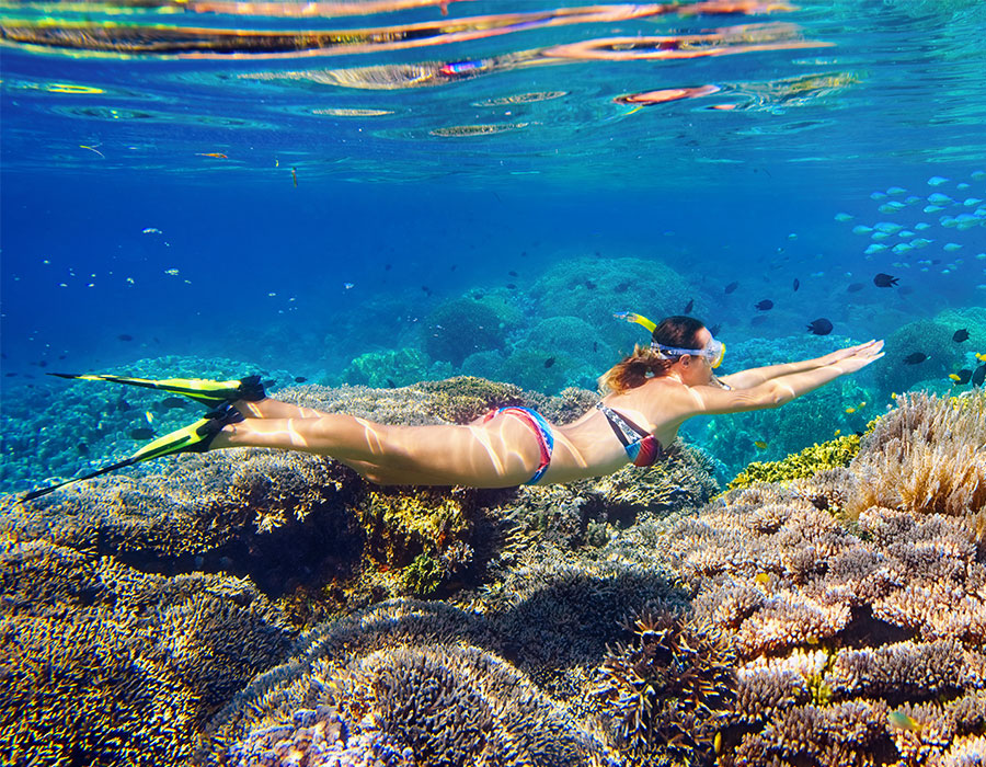 Snorkeling in St. Thomas